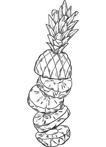 Sliced pineapple coloring book